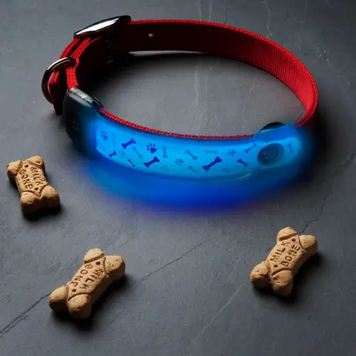 NiteDog® Rechargeable LED Collar Cover - Disc-O Select™