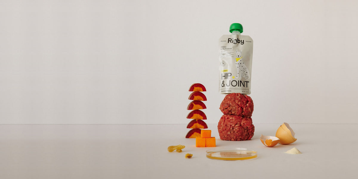 Rigby Hip and Joint pouch with a stack of fresh ingredients