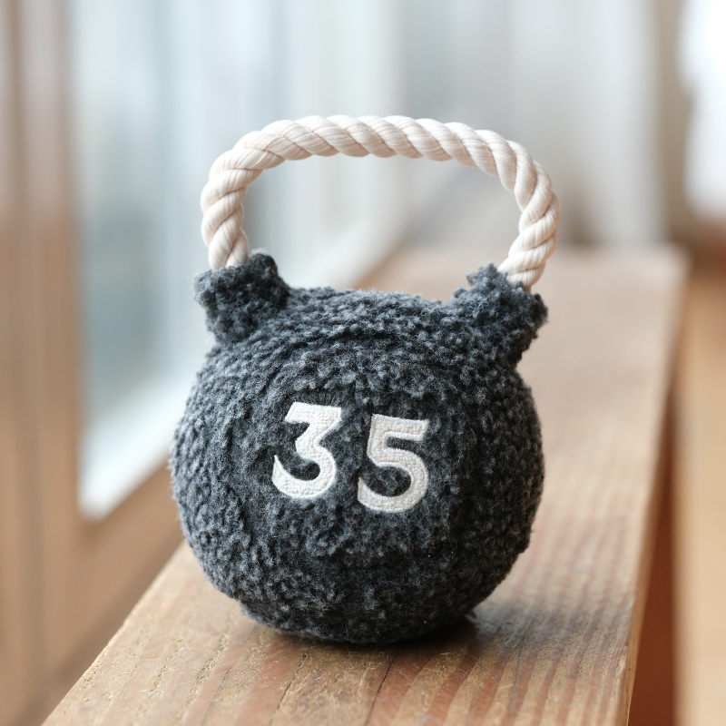 Kettlebell Enrichment Dog Toy studio shot