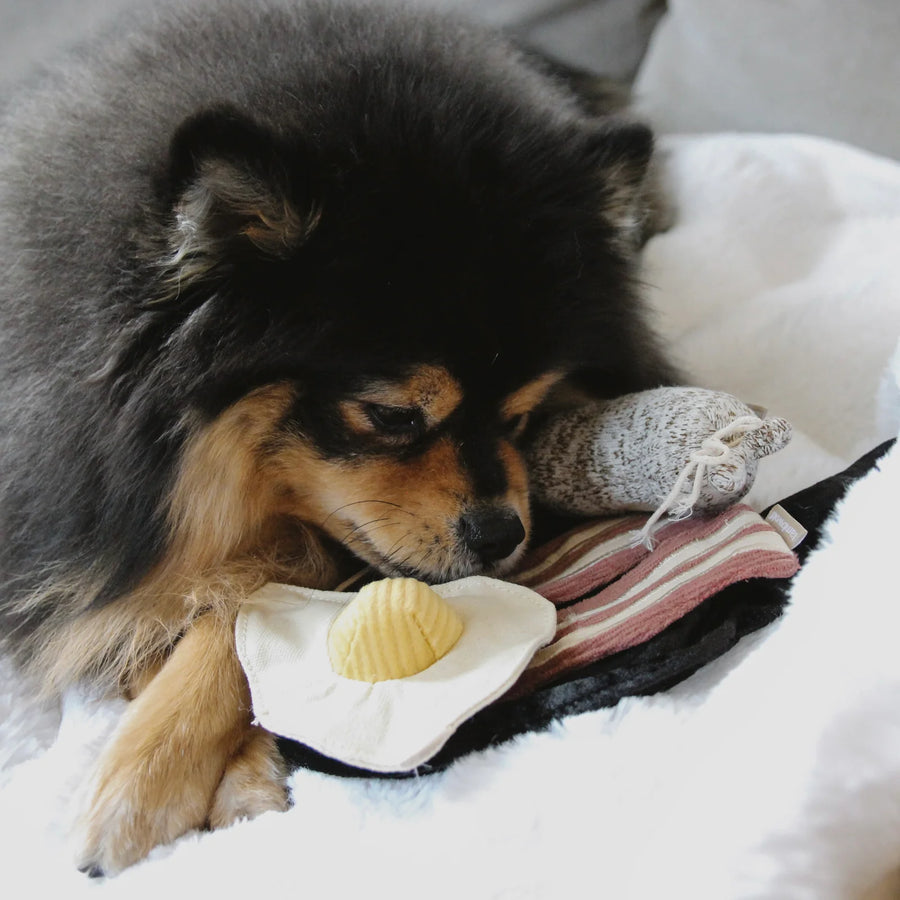Bfast Set Dog Toy