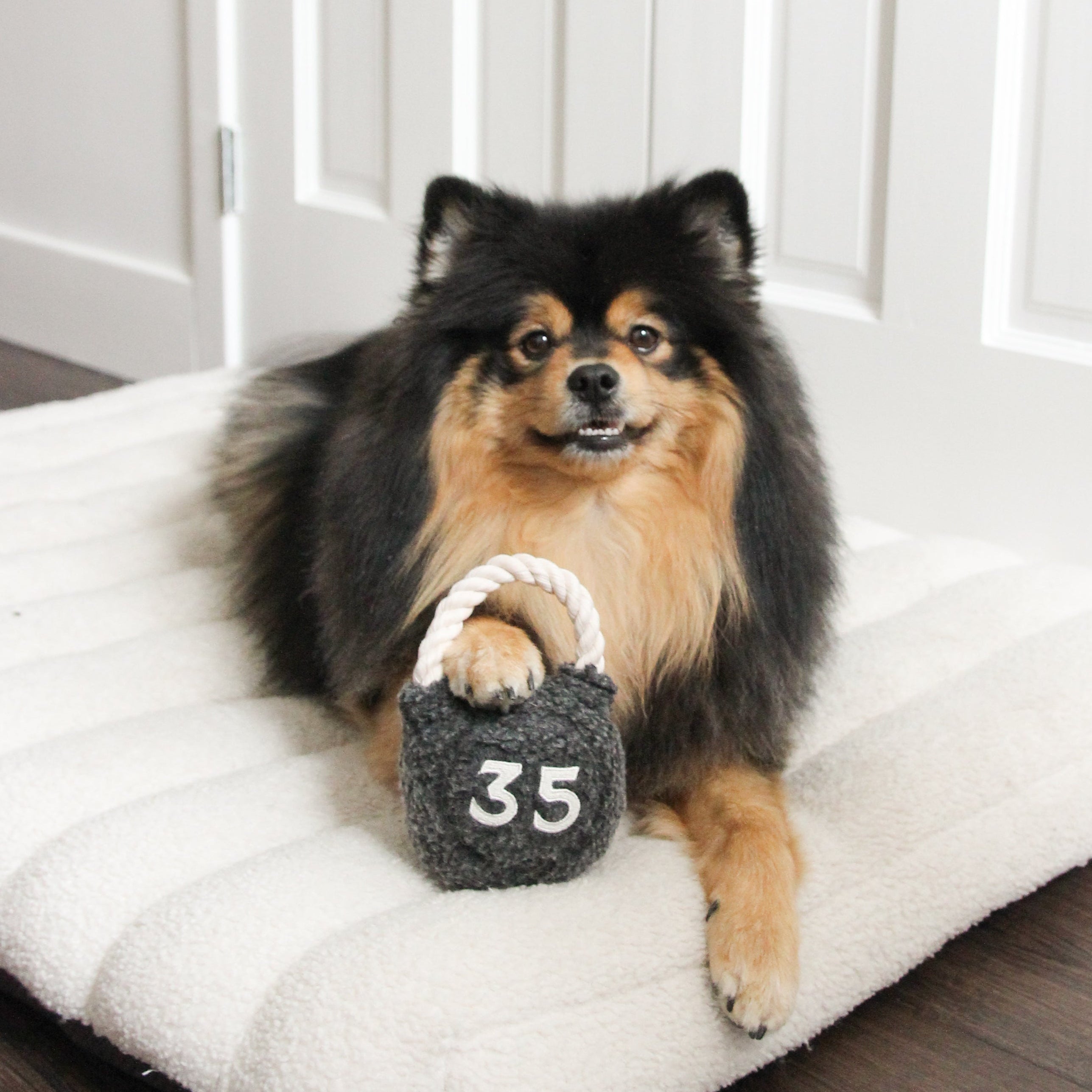 Kettlebell Enrichment Dog Toy lifestyle