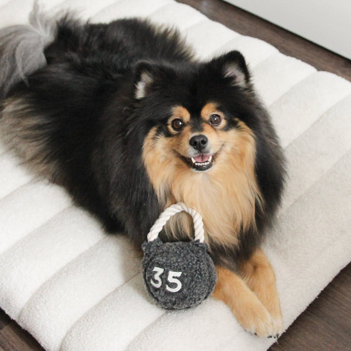 Kettlebell Enrichment Dog Toy lifestyle