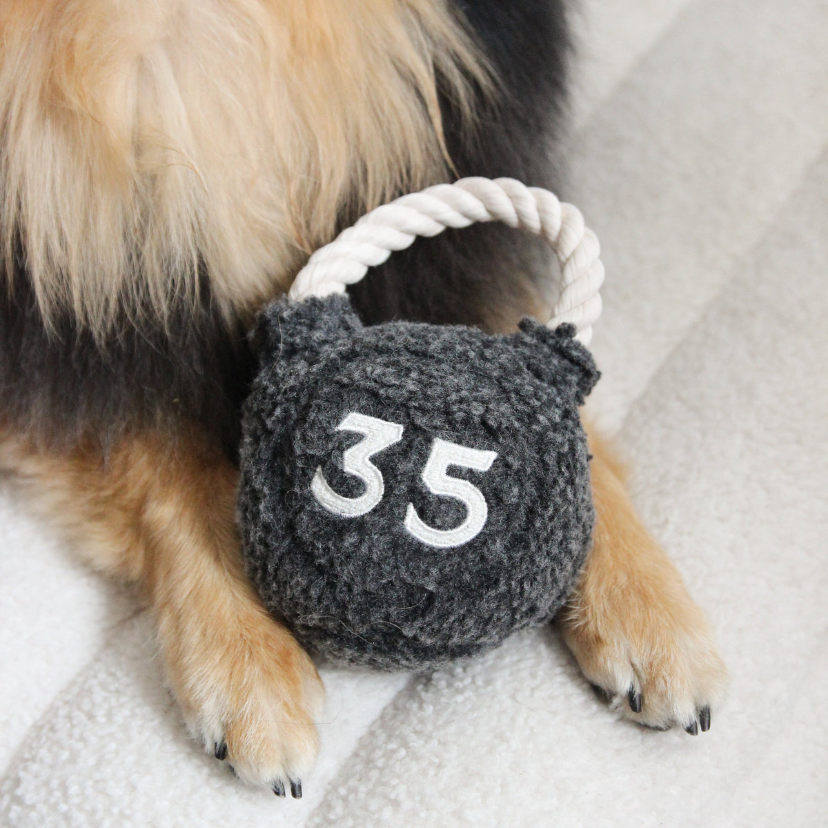Kettlebell Enrichment Dog Toy lifestyle