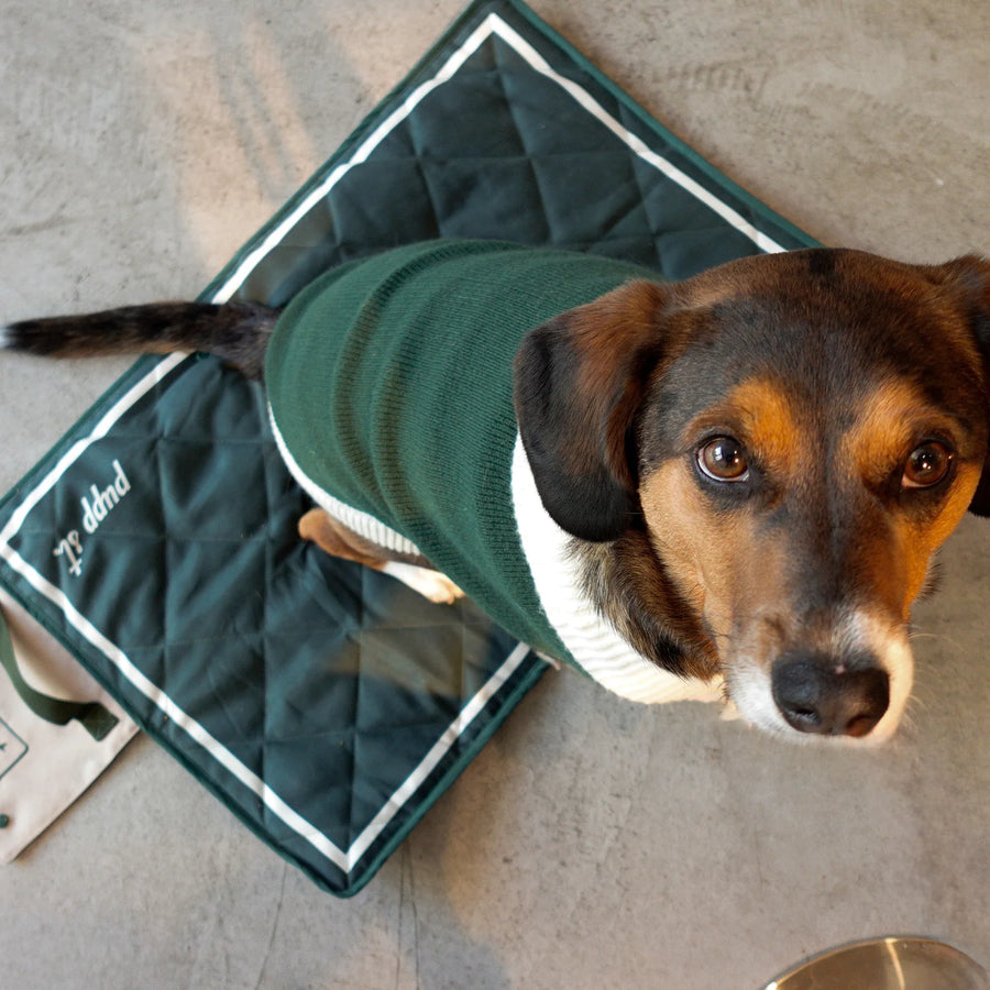 Foldable Travel Dog Mat