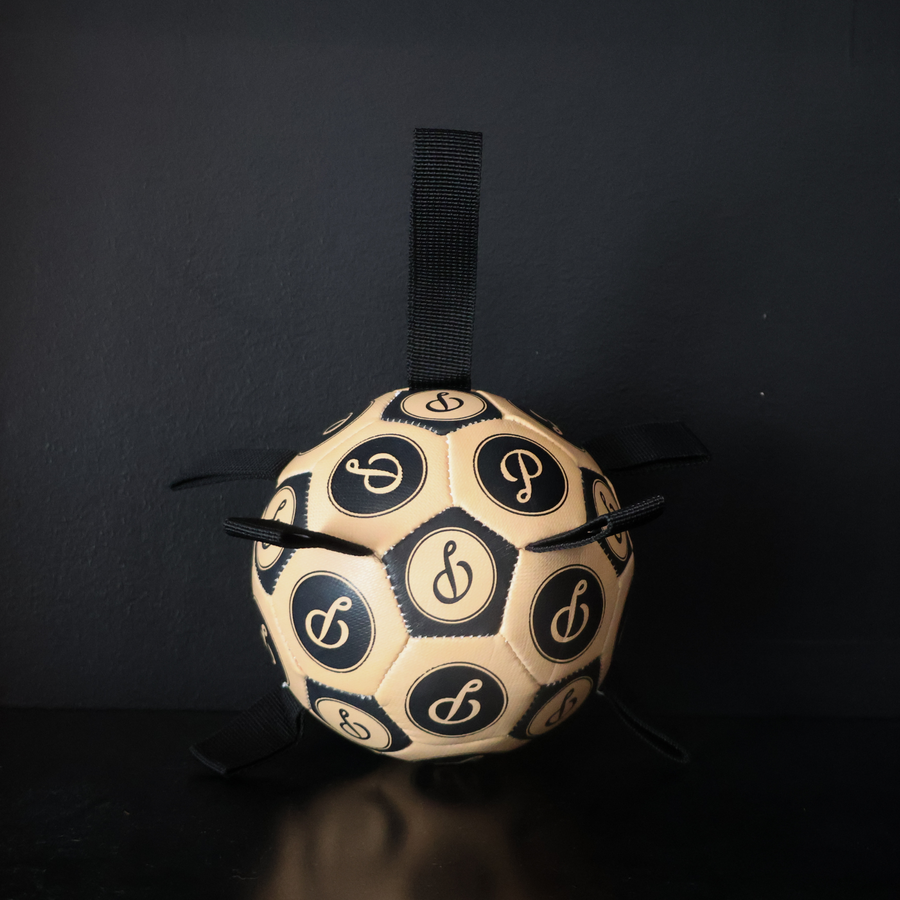Black Puppster Soccer Ball