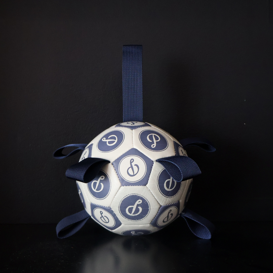 Deep Purple Puppster Soccer Ball