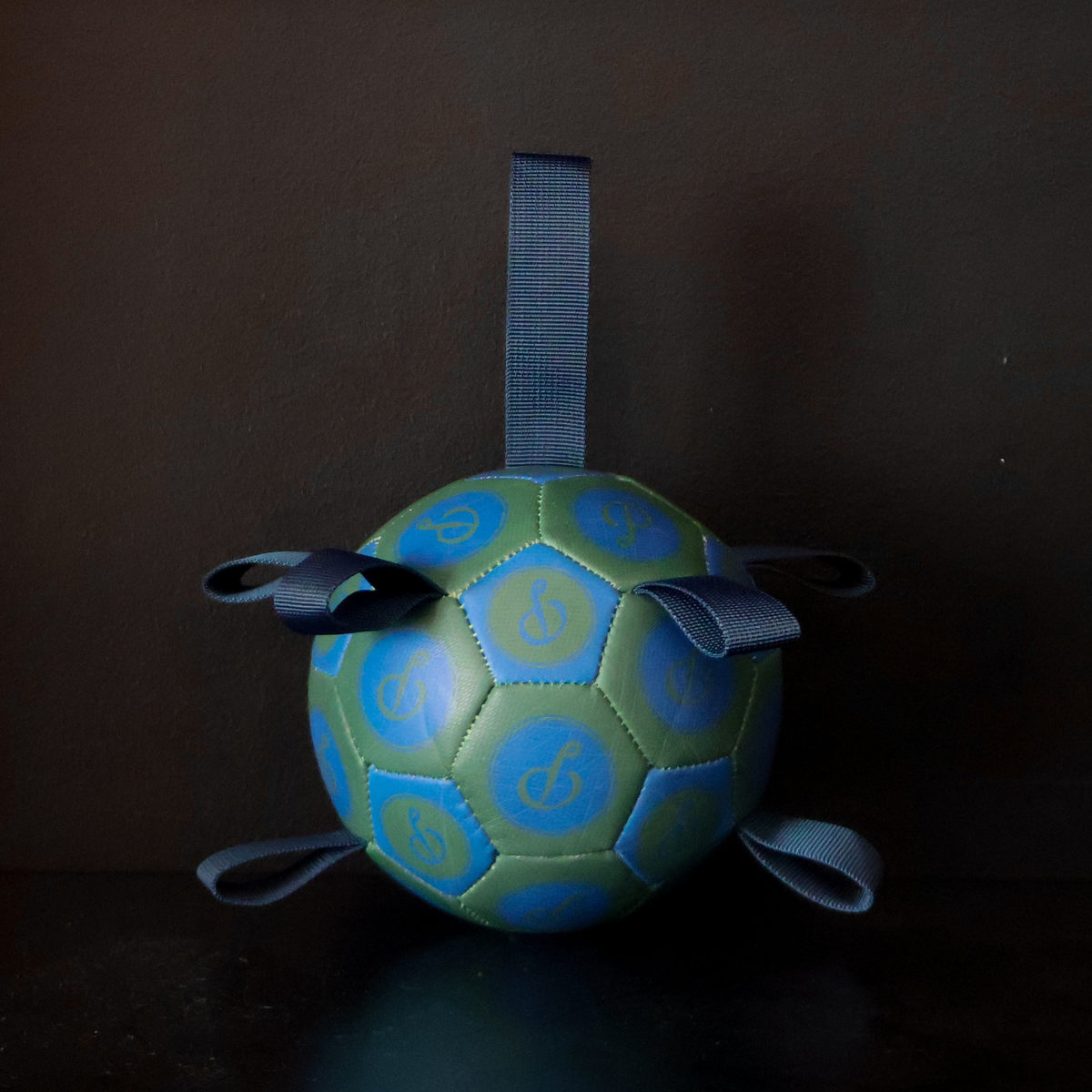 Evergreen Puppster Soccer Ball