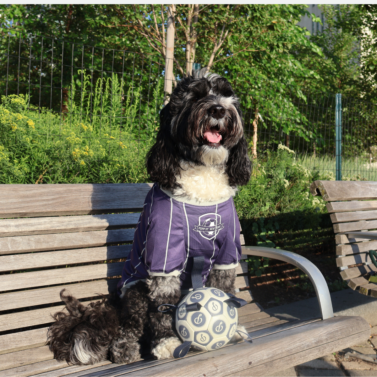 Deep Purple Rivington Jersey alternate