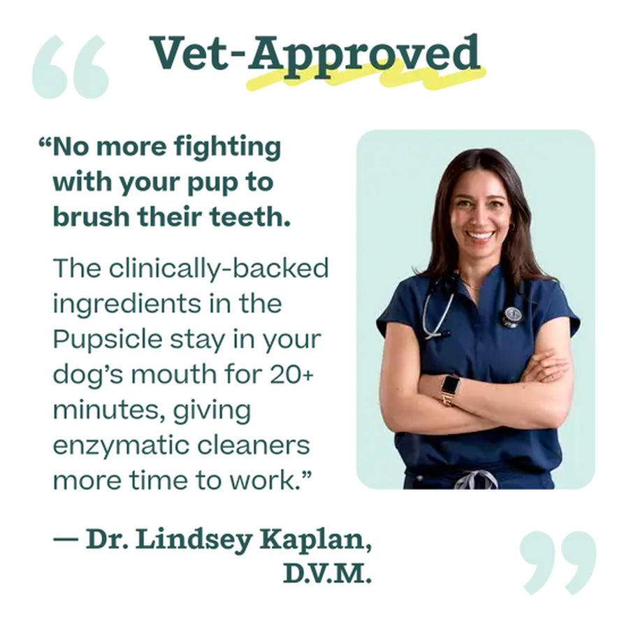 Pupsicle Treat Mix - Doggy Dental