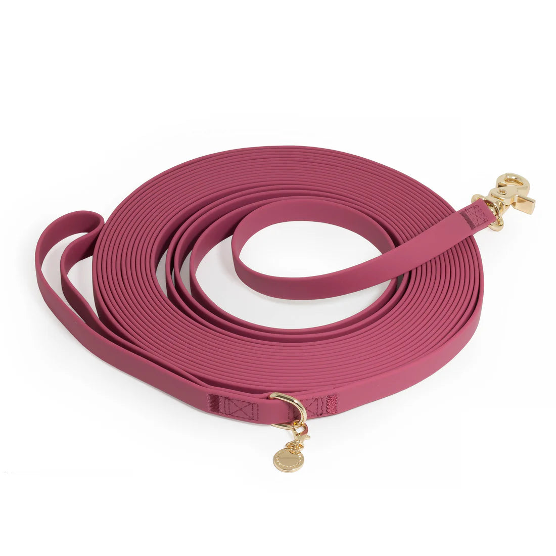Waterproof Cloud 30 Ft Dog Leash