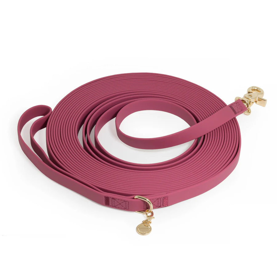 Waterproof Cloud 30 Ft Dog Leash