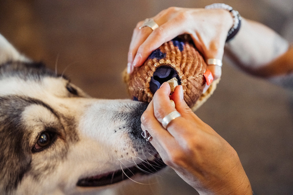 A close-up lifestyle shot of a person's hands holding the Play Berry Blast Muffin, a plush muffin-shaped dog toy, stuffing dog treats into the bottom of a treat dispenser opening.