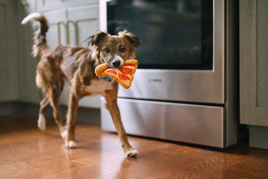 Snack Attack Puppy-roni Pizza Toy