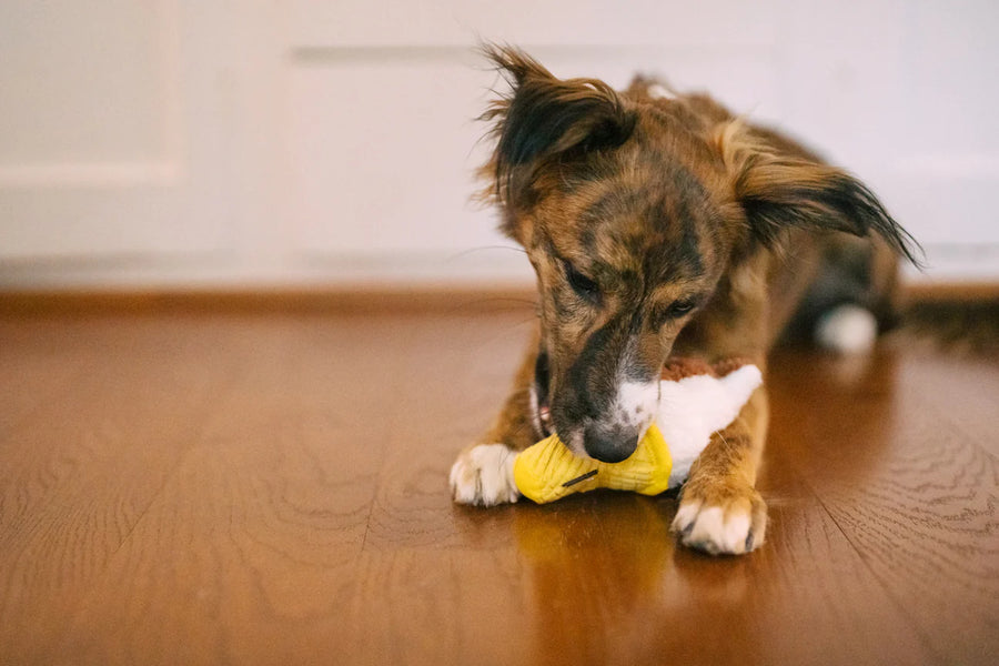 Snack Attack Swirls n Slobbers Soft Serve Toy
