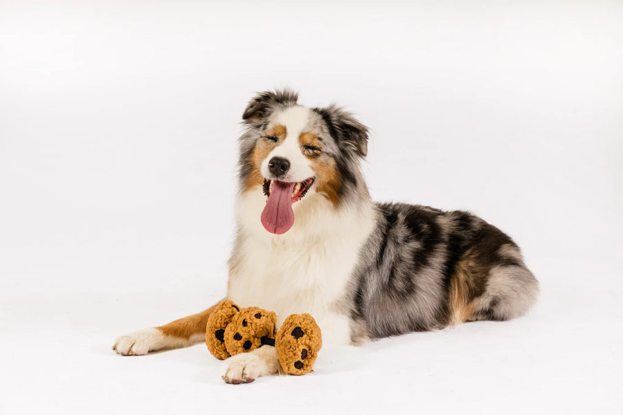 Pup Cup Café Cookies n’ Treats Toy