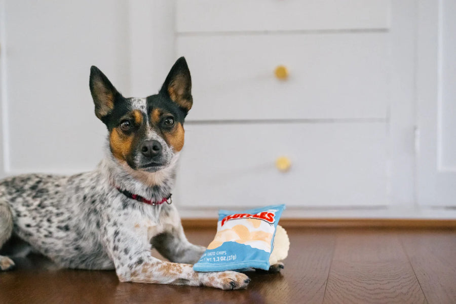 Snack Attack Fluffles Chips Toy
