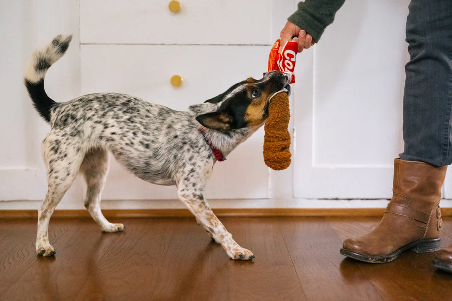 Snack Attack Good Boy Cola Toy