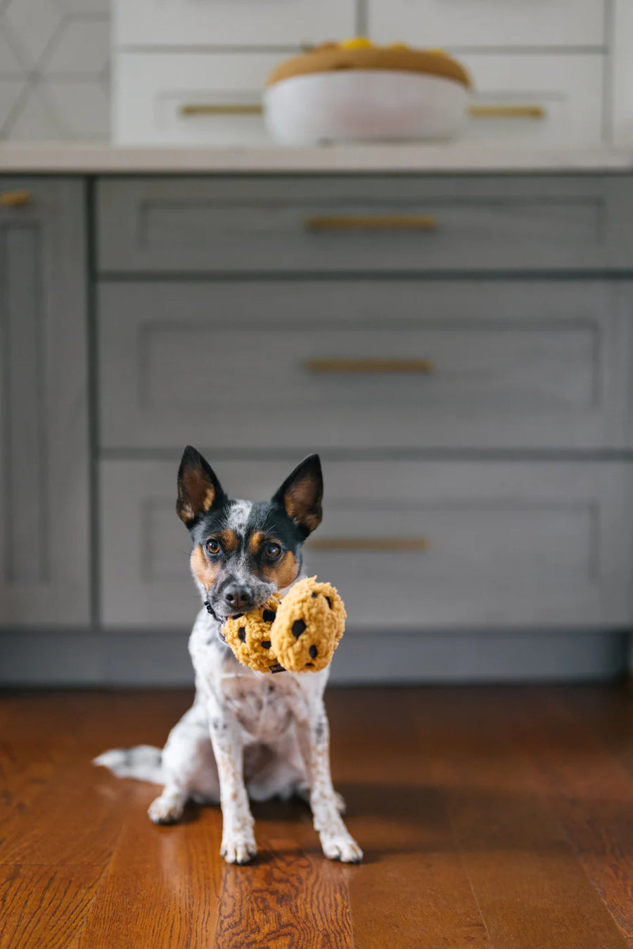 Pup Cup Café Cookies n’ Treats Toy