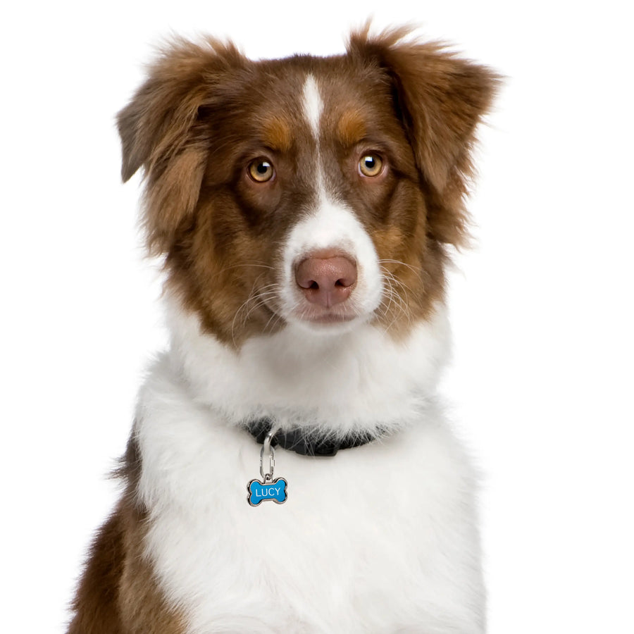 MicroLink® Pet Tag Carabiner - 2 Pack