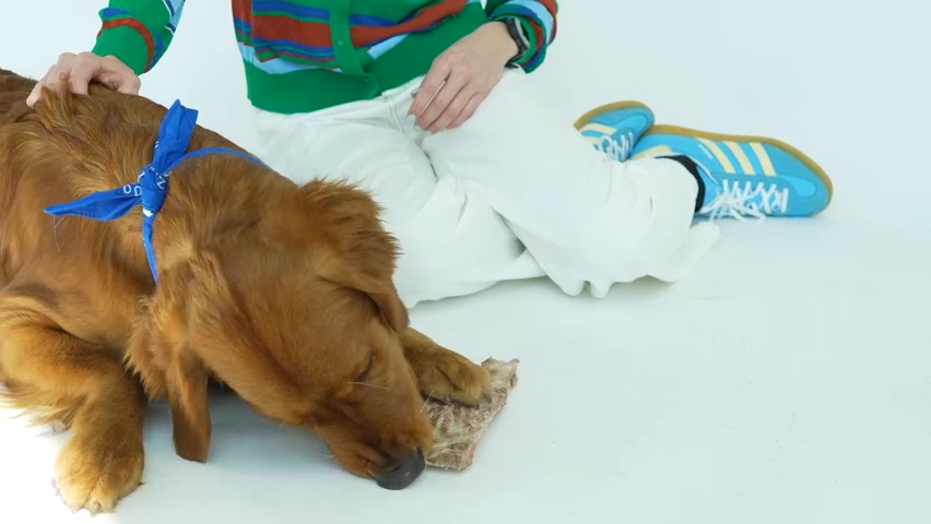 Bison Scapula Dog Chew