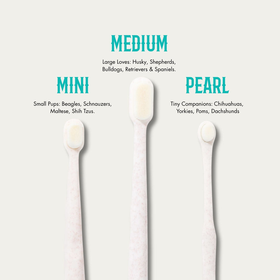 Puppy Polisher Eco Toothbrush (3 Sizes): Medium, Mini (Small) and Pearl (XS)