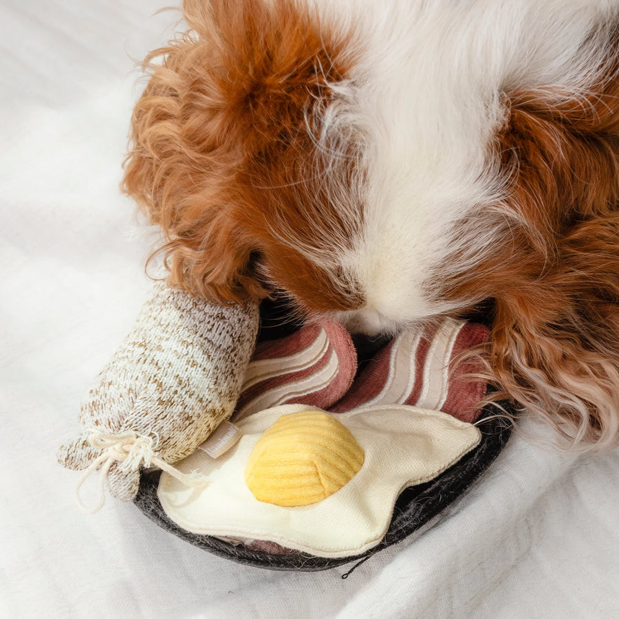 Bfast Set Dog Toy