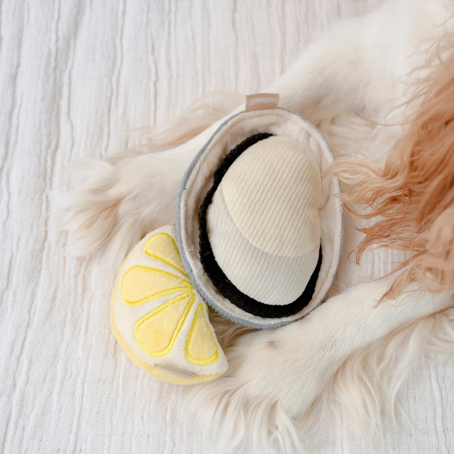 Gillardeau Enrichment Dog Toy