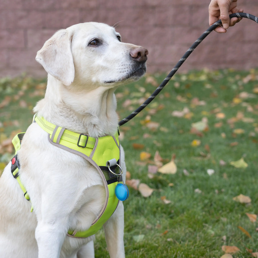 WearAbout® Pet Clippable Tracker Holder