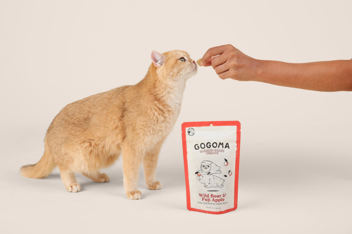GOGOMA Wild Boar & Apple freeze dried treats