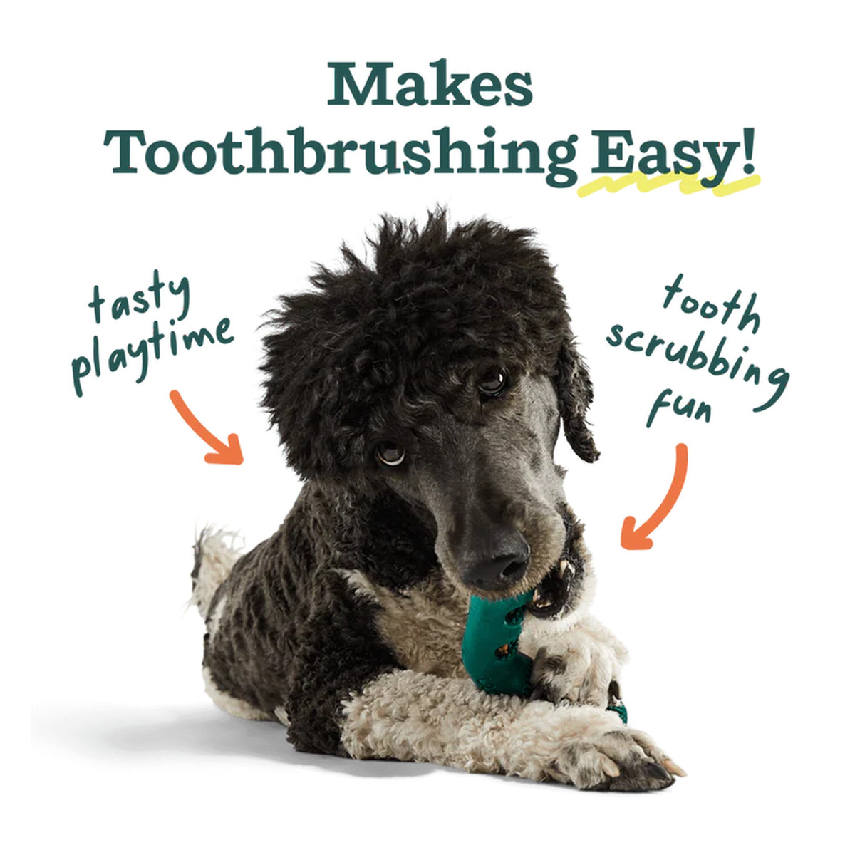 Bite n' Brush Dental Refills