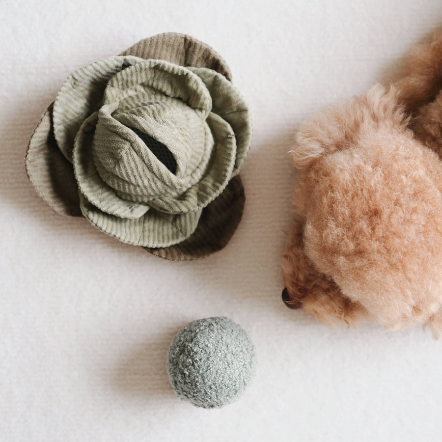Green Cabbage Enrichment Dog Toy