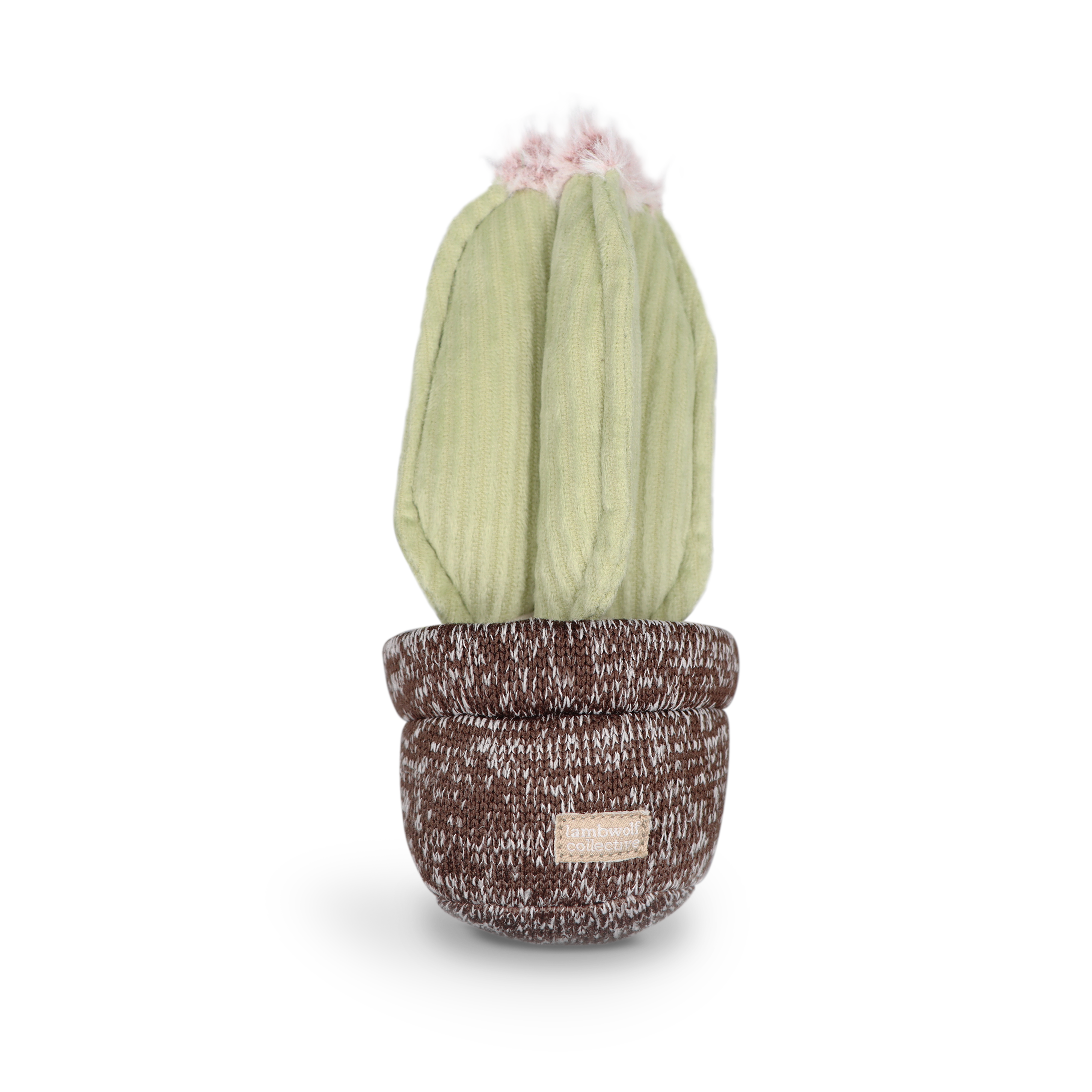 Cactus Dog Toy