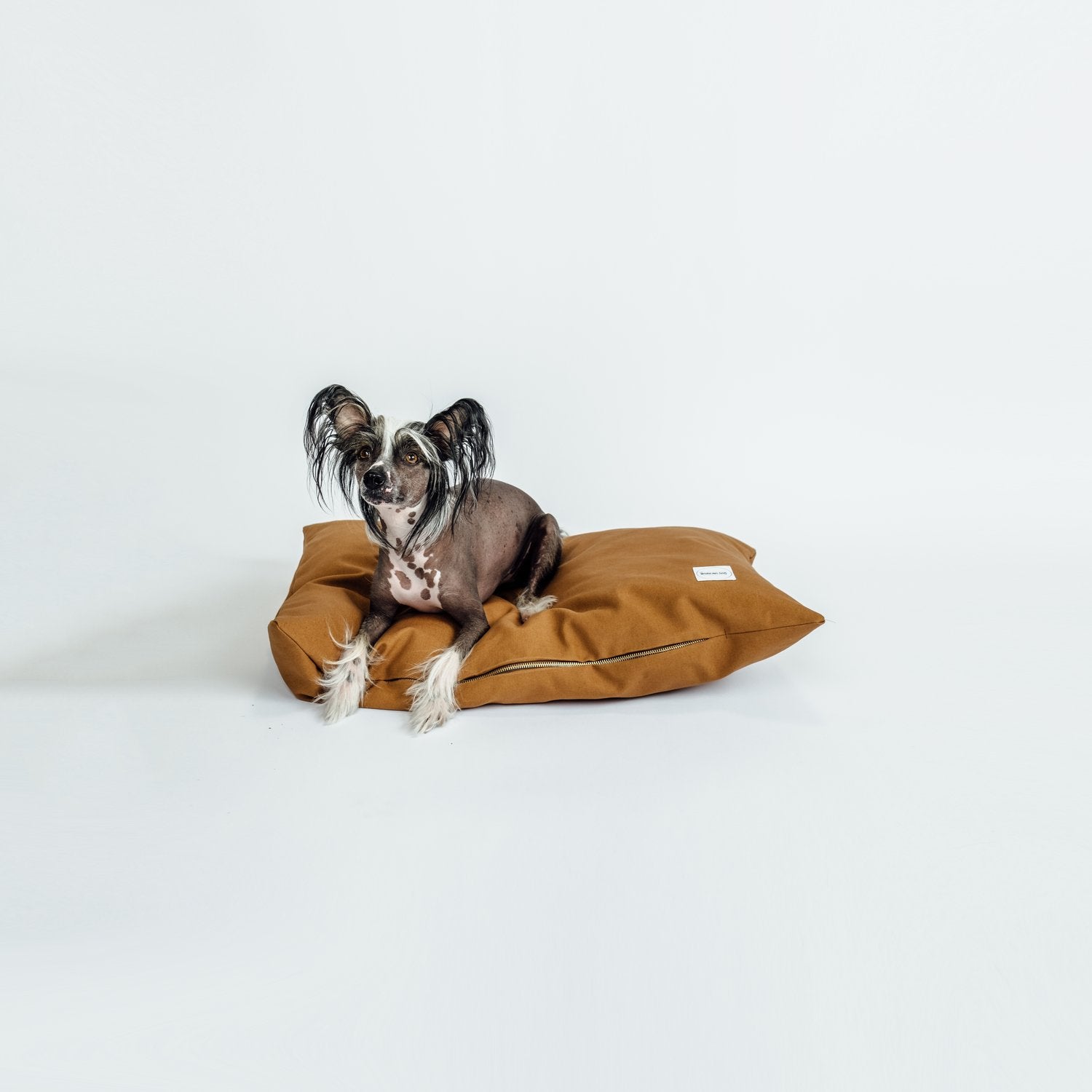 The Scooter Bed