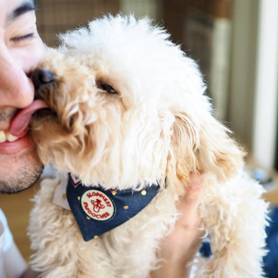 Sloppiest Smoocher Iron-on Patch for Dogs and Cats