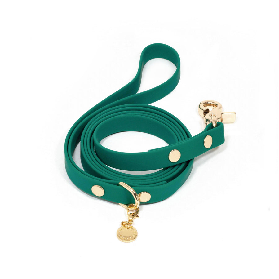 Waterproof Cloud Leash
