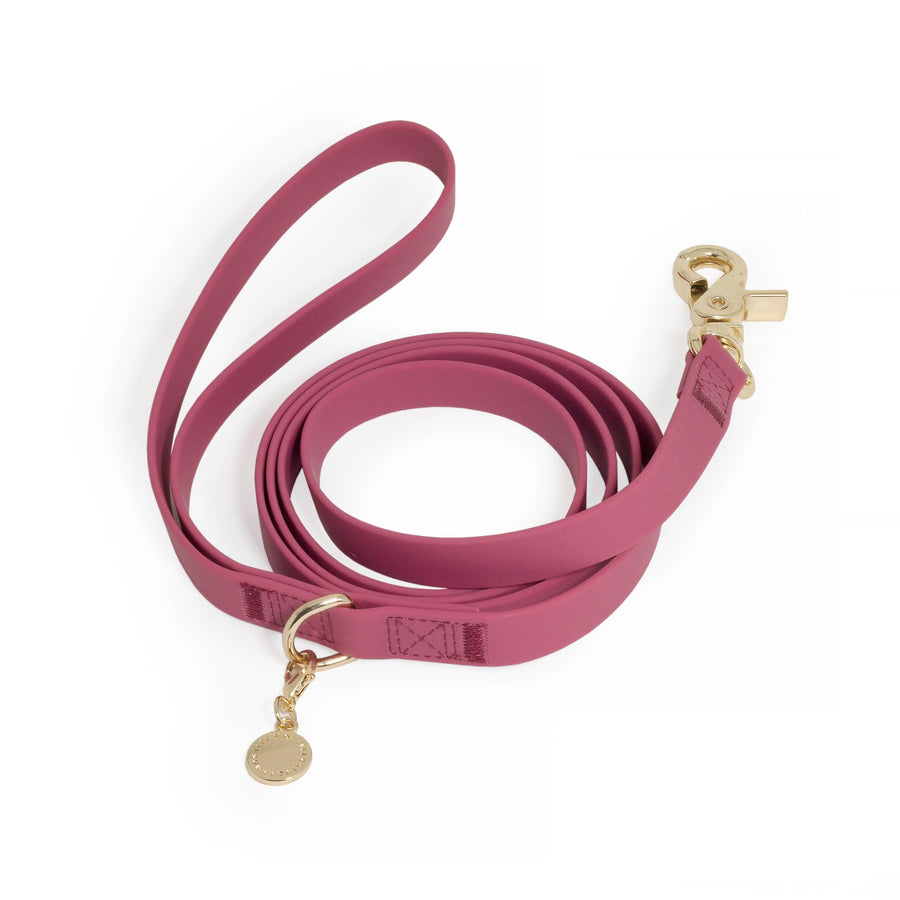 Waterproof Cloud Leash
