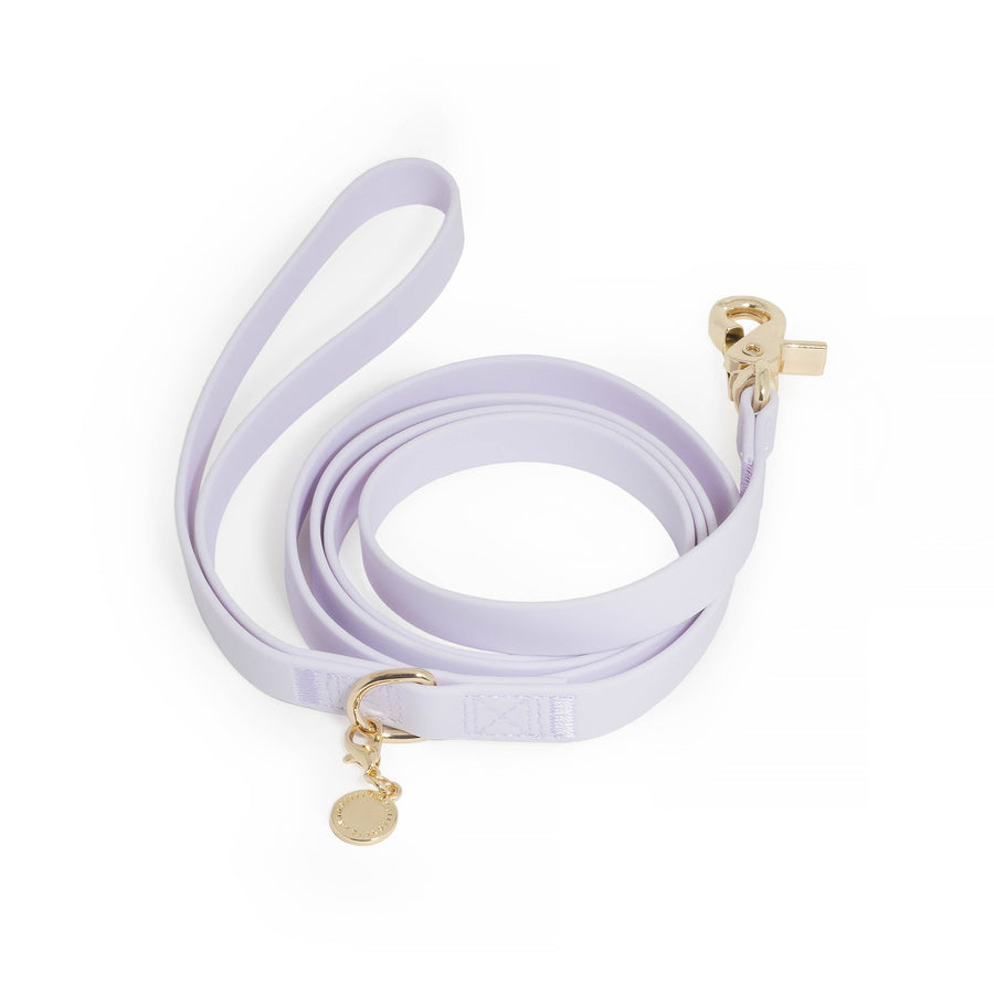 Waterproof Cloud Leash