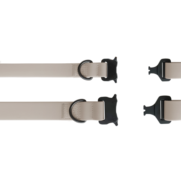 Ava Quick-Release Metal Buckle Collar