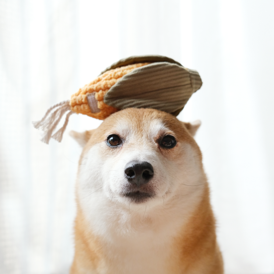Corn & Leek Enrichment Dog Toy